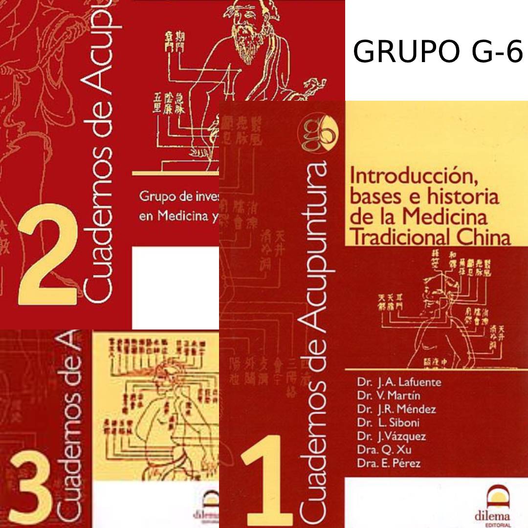 Grupo G-6